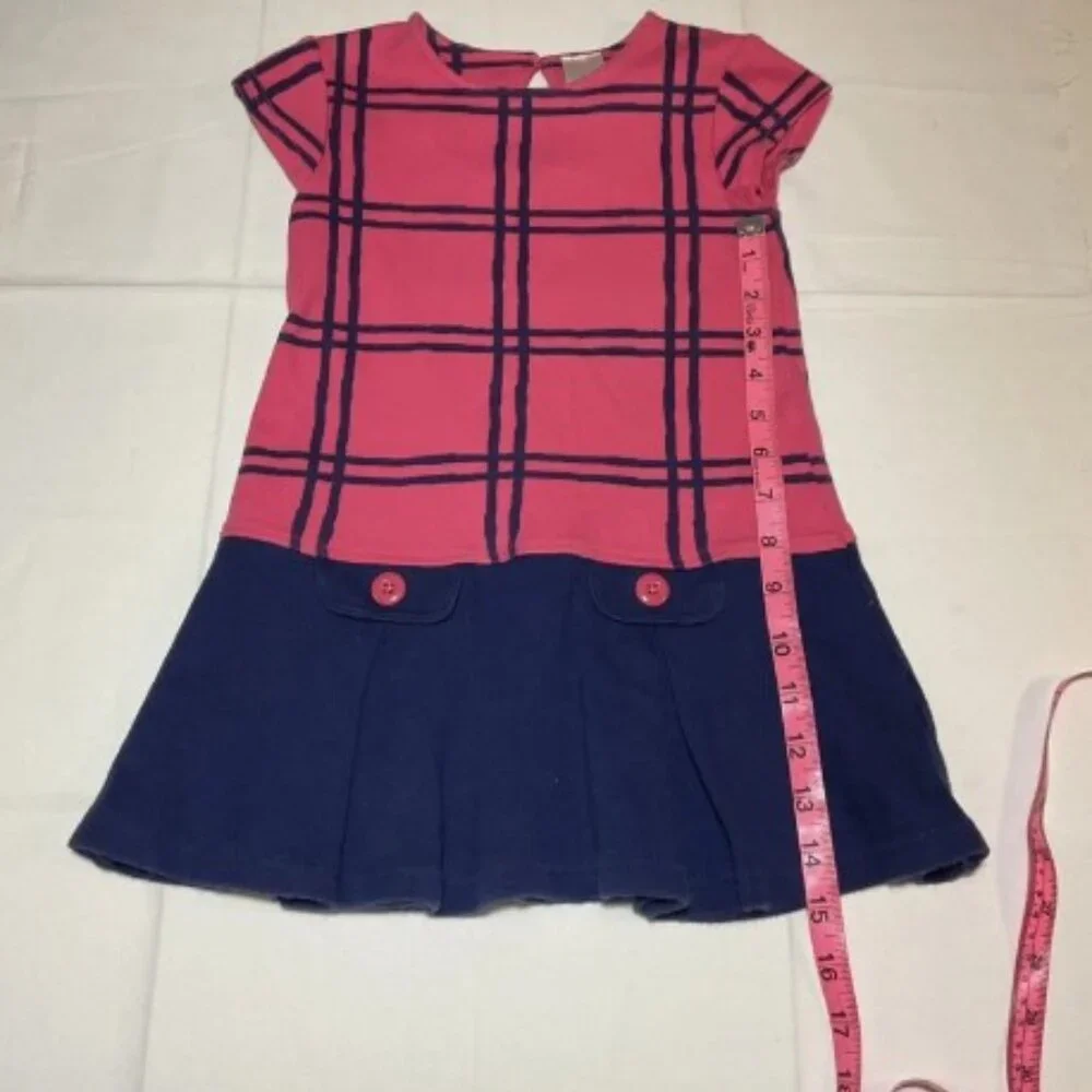 Gymboree Girls 4 Blue Pink Plaid Cotton Short Sleeve Drop Waist Button Dress